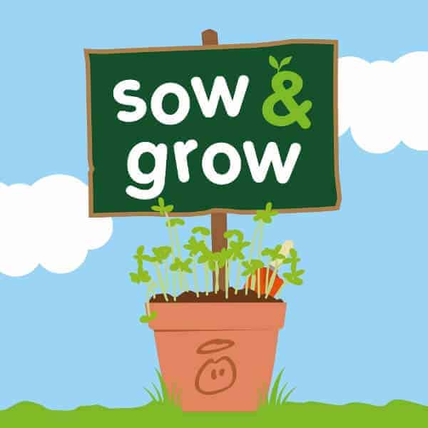 Не работает приложение grow food